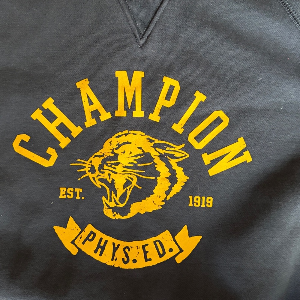 Champion Phys Ed SS Workout Gym Sweat-tee Sz L Vintage-vibe Collegiate NWOT - Picture 4 of 10